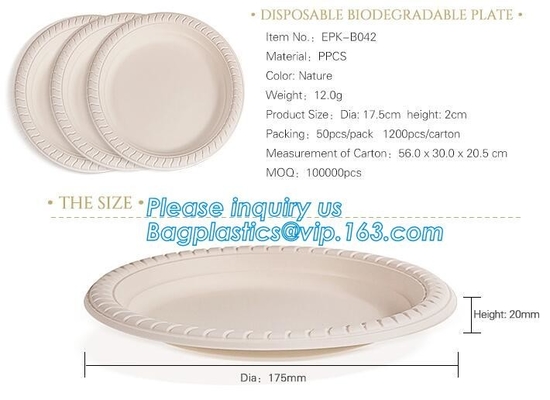 Online Shopping 10 Inch Biodegradable Disposable Sugarcane Bagasse Party Plate,Sugarcane Bagasse Paper Plate/Compostable