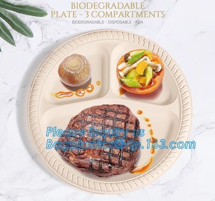 Eco Friendly Biodegradable Sugarcane Bagasse Plates Disposable,Sugarcane Bagasse Pulp Disposable Biodegradable Plate For