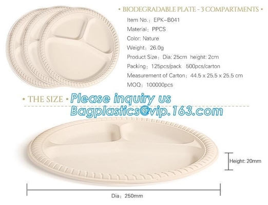 Eco Friendly Biodegradable Sugarcane Bagasse Plates Disposable,Sugarcane Bagasse Pulp Disposable Biodegradable Plate For