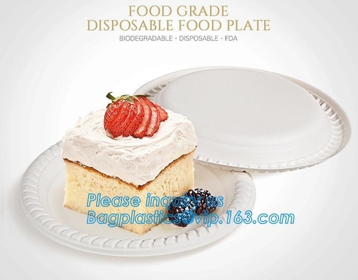 custom printed party plates disposable sugarcane bagasse plate Biodegradable Bamboo disposable paper plates bagease pack