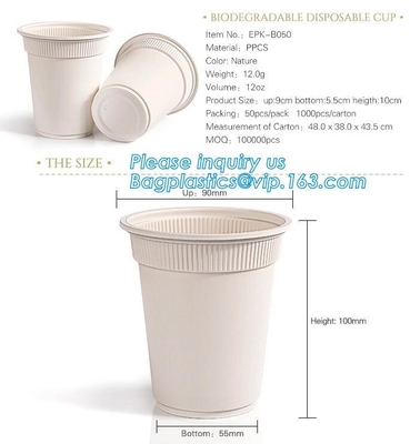 New products cornstarch plastic 12oz nature biodegradable drinking cup,Disposable cups plastic biodegradable cups PLA pa