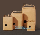 1kg Rice package kraft paper packaging bag brown kraft food paper bag,5kg10kg rice bag plastic packaging bag for rice,fl
