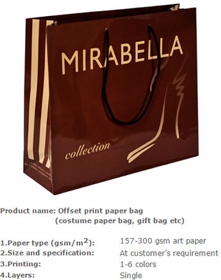 Nice Design Paper Shopping Bag , Recycle / Environmental Luxury Shopping Paper Bag , Raw Material Gift Kraft Paper