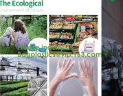 compostable kitchen apron Biodegradable Gloves Sleeves PLA/PBAT/Corn Starch Compostable Bag singlet bags, vest carrier