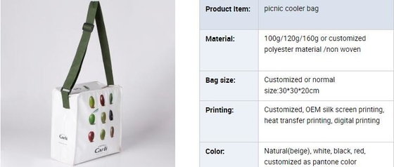 Cooler bags, Non woven bags manufacturer philippines/india/kolkata PP woven bags recycling biodegradable woven bags, the