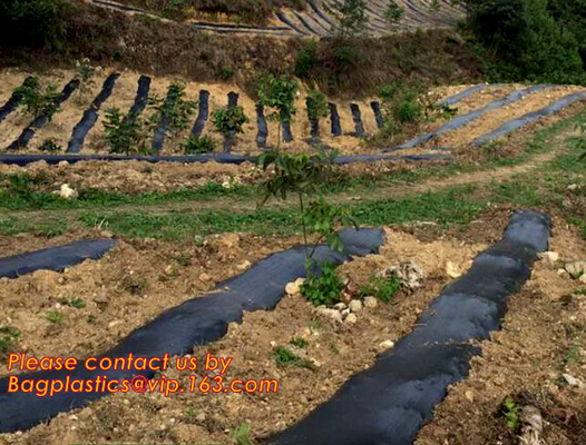 weed barrier for agriculture, weed killer fabric, agricultural anti weed mat, dust control weed mat agricultural mulch