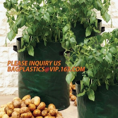 Smart Grow Bags For Potato/Plant Container/Aeration Fabric Pots With Handles Fabric Plants Pots with Handles, Indoor