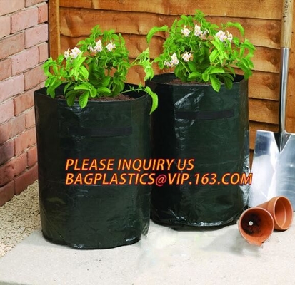 Smart Grow Bags For Potato/Plant Container/Aeration Fabric Pots With Handles Fabric Plants Pots with Handles, Indoor