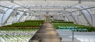 Garden tomato green house greenhouse film 3 layer eva agriculture clear plastic protective 90% transmission green house,