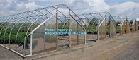 Garden tomato green house greenhouse film 3 layer eva agriculture clear plastic protective 90% transmission green house,