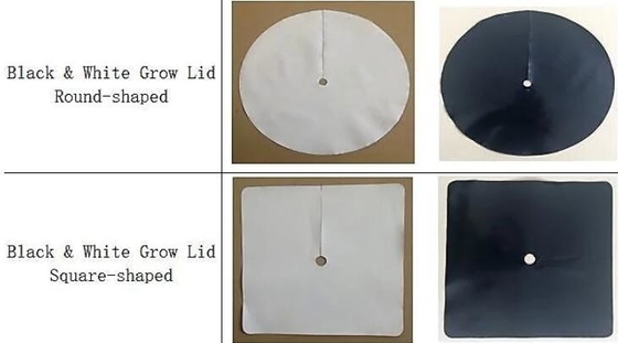 LDPE Polyethylene plastic garden planter bags for vegetable, tree and flower seedling,15 GALLON Hole Plastic LDPE Grow B