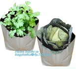 15 GALLON Hole Plastic LDPE Grow Bags For Nursery, Black &amp; White PE Grow Bags for Hydroponic and Horticulture use, BAGEA