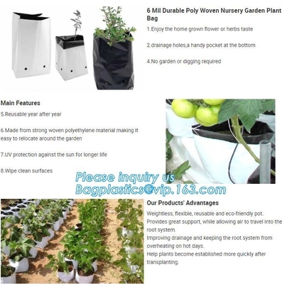 15 GALLON Hole Plastic LDPE Grow Bags For Nursery, Black & White PE Grow Bags for Hydroponic and Horticulture use, BAGEA