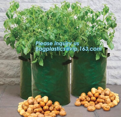 Drain Growing Bags-White Color Grow Bags-100%Virgin Raw PE Planter Bags -25Gallon 150Microns Thickness Planting Bag, PAC