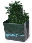 factory wholesale planter grow bag,Green Eco-friendly PE potato grow bag resuble garden plant grow bag, BAGEASE, PACKAGE