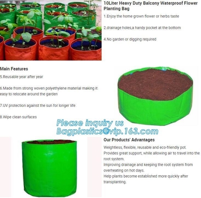 1 gal 2 gal 3gal 5gal 10gal black plastic grow planting greenhouse vegetable nursery bags,garden plant growing bag, bage