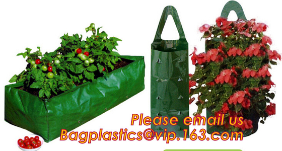 Gallon Square Grow Bags, Thick Fabric Bags With Handles For Indoor And Outdoor Garden Veggies Flower Planter