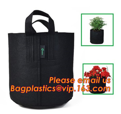 fabric pots grow bag felt garden bag with handle,Hydroponic Grow Bag 1 Gallon Containers With Handle,Eco-friendly High q