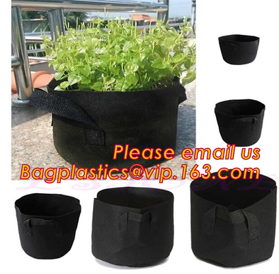 fabric pots grow bag felt garden bag with handle,Hydroponic Grow Bag 1 Gallon Containers With Handle,Eco-friendly High q