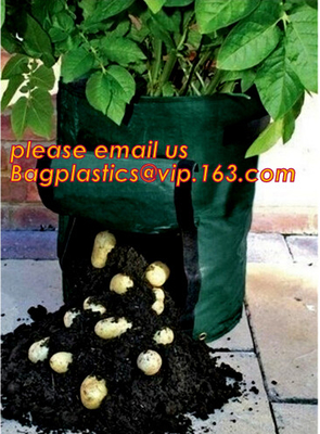 Eco-Friendly PE Potato Growing Bag Garden Planter Bags Reusable Washable Grow Pots Waterproof, Smart Pots for Vegetable