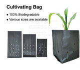 PE CLIPS, CULTIVATING BAG, 100% BIODEGRADABLE VARIOUS SIZE ARE AVAILABLE,GREEN HOUSE,POT, PLANTING, PLANTER, FILM COVER,