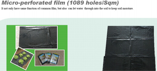 PP NONWOVEN FABRC, WINTER COVER,MICRO-PERFORATED FILM,TOMATO TUBE FILM,GREEN FILM,MULCH FILM,REFLECT FILM,BIODEGRADABLE