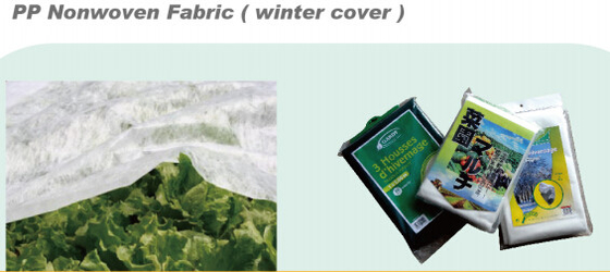 PP NONWOVEN FABRC, WINTER COVER,MICRO-PERFORATED FILM,TOMATO TUBE FILM,GREEN FILM,MULCH FILM,REFLECT FILM,BIODEGRADABLE