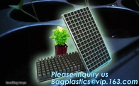 PET Plastic Vegetable Plant Grow Seedling Bed Trays Nursery Plug Tray,128 holes seedling starter trays, greenhouse grows