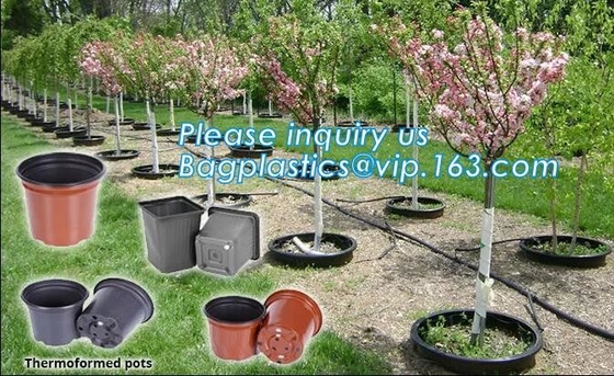 Fast Growth plastic nursery air pruning pot for plant tree and flower,indoor nursery mini plastic flower pot, gardening