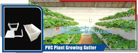 PVC PLANT GROWING GUTTER,HDPE WATER SUPPLY PIPE,PE DRIP IRRIGATION PIPE,PE TAPE,IRRIGATION TAPE,VERTICAL PLANT POT,PLANT