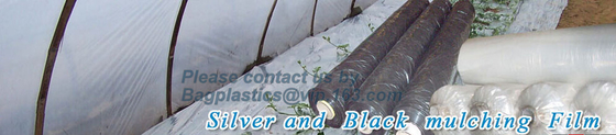 Perforated silver black mulch film for crop production,vegetable garden black / gray perforated mulch layer plastic mulc