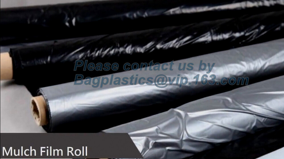 Perforated silver black mulch film for crop production,vegetable garden black / gray perforated mulch layer plastic mulc