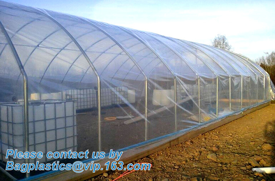 plastic film agriculture greenhouse,6 mil poly anti-uv plastic greenhouse film,Anti-fog UV resistant,mushroom,TOMATO PAC