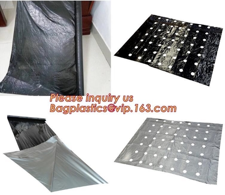 Multi-Span Plastic Film Cover Natural Ventilation Vegetable Greenhouse,Greenhouse Kits Plastic Greenhouse 200 micron gre