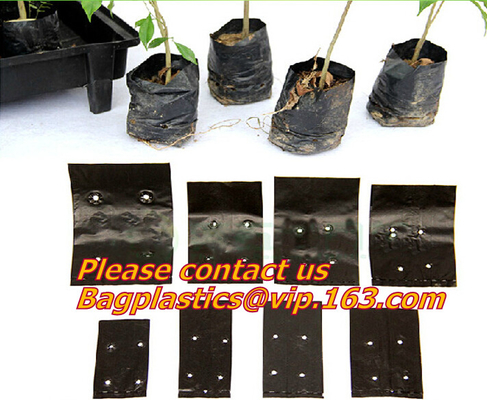 Non-Woven Bags Plant Grow Bags Fabric Seedling Pots Plants Pouch for High Seedling Survival Planting Growing Tree Plants