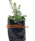 Horticulture, Grow Bags, Hydroponics, Soil, Garden, Planter, Nursery, Pots Bag, Thickened Plastic Nursery Bags for Plant