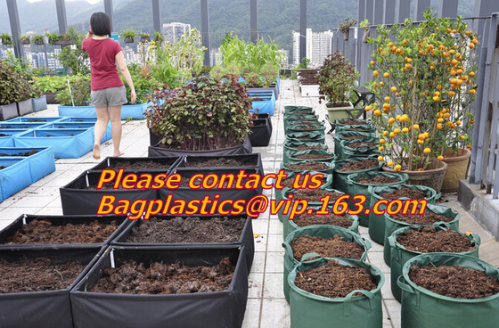 Horticulture, Grow Bags, Hydroponics, Soil, Garden, Planter, Nursery, Pots Bag, Thickened Plastic Nursery Bags for Plant