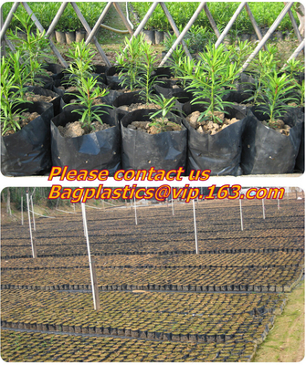 Horticulture, Grow Bags, Hydroponics, Soil, Garden, Planter, Nursery, Pots Bag, Thickened Plastic Nursery Bags for Plant