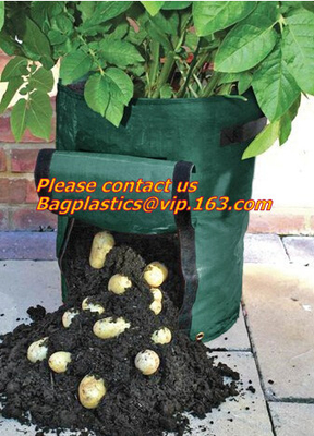 Horticulture, Grow Bags, Hydroponics, Soil, Garden, Planter, Nursery, Pots Bag, Thickened Plastic Nursery Bags for Plant