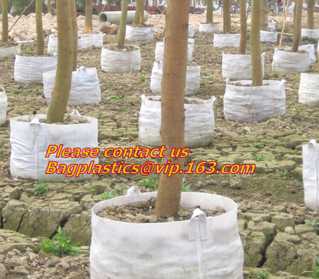 Norbane Bag 20 Counts Mushroom Substrate Bag, Mushroom Grow Bag, Mushroom Myco Bag,Mushroom Spawn Bag