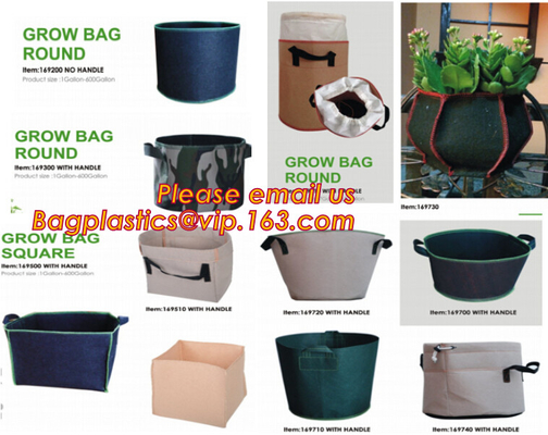 Plastic Flower Pots, Water Cans, Garden Growing Trays with Drain Holes, Microgreens Seed Tray, Hydroponic Trays, Nursery