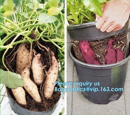 Plants With Drainage Hydroponic Growing Pot Bucket For Greenhouse, Dutch Bucket, Flower Nursery Pots, Balcony Garden