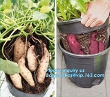 Plastic Garden Planter Pot Vegetable Growing Container Grow Vegetables: Potato, Carrot, Tomato, Ginger, Peanuts Onion