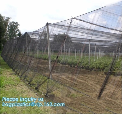 Plastic Anti Bird/Hail/Insect Plants Protection Net for Agriculture,insect repellent net/20x10 Anti Aphid Net/Greenhouse