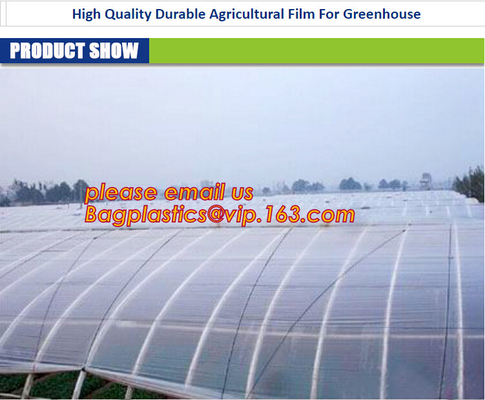 GARDEN GREENHOUSE AGRICULTURAL PLASTIC MULCH FILM, 100% PP/PE Woven Agriculture Ground Cover/Mulch Film/Weed Mat, FILM