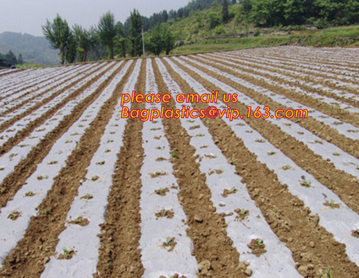 GARDEN GREENHOUSE AGRICULTURAL PLASTIC MULCH FILM, 100% PP/PE Woven Agriculture Ground Cover/Mulch Film/Weed Mat, FILM