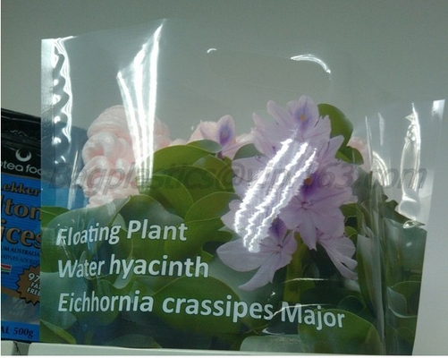 Floral Packaging, Flower Bags, Flower Sleeves, Flexi Bottle, Water Bottle, Plastic Vase,Vine Tomato Bags Tomato Bags Let