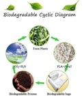 Biodegradable and compostable PLA gloves,OEM cheap biodegradable kitchen disposable gloves with EN13432 BPI OK compost h