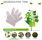 Biodegradable and compostable PLA gloves,OEM cheap biodegradable kitchen disposable gloves with EN13432 BPI OK compost h