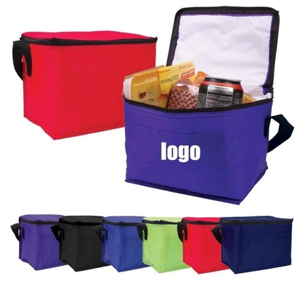 Frozen Food Insulated Cooler Bag Food Delivery, Sturdy Zipper, Foldable, Washable, Heavy Duty, Stands Upright, Completel